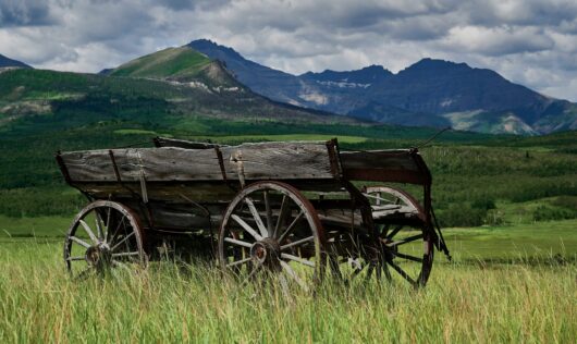 2/19 Natural History of the Oregon Trail –  with John Jackson of Bugs-R-Us