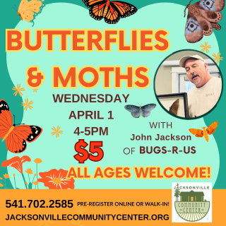 4/1 Butterflies & Moths: Presented by Bugs-R-Us